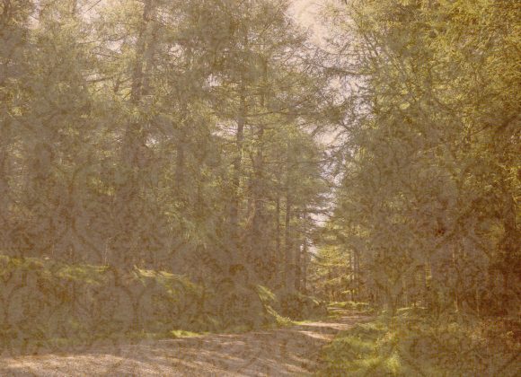 Dawny Dom Fotografie zarezerwuj pokój na wynajem!