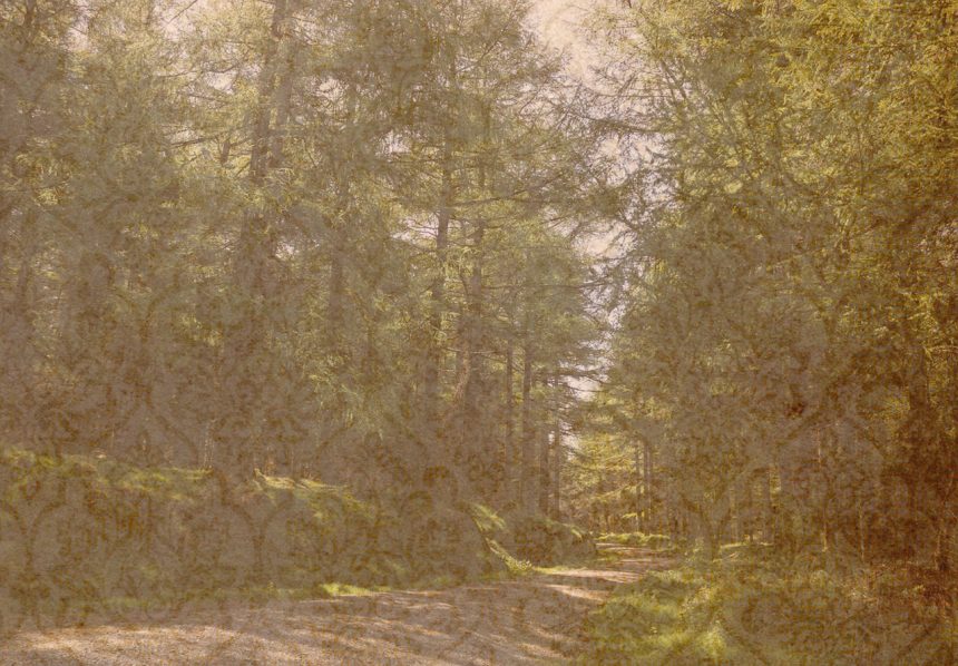 Dawny Dom Fotografie zarezerwuj pokój na wynajem!