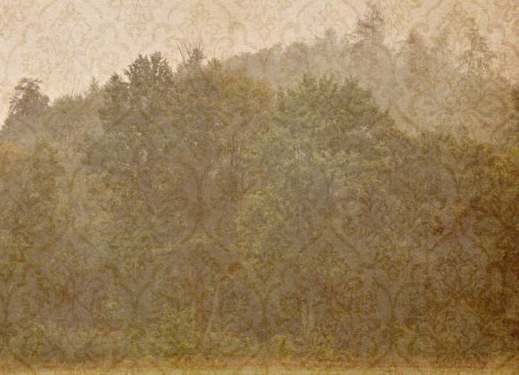 Dawny Dom Fotografie zarezerwuj pokój na wynajem!